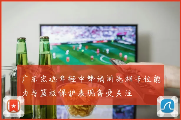 广东宏远年轻中锋试训亮相卡位能力与篮板保护表现备受关注
